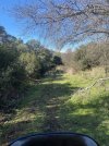 IMG_6337.jpeg