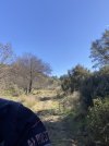 IMG_6339.jpeg