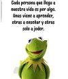 IMG_9820.jpeg