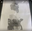 IMG_2404.jpeg