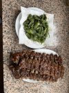 IMG_4281.jpeg