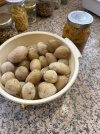 IMG_4278.jpeg