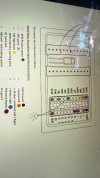 IMG_4478.jpeg