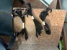 IMG_0039.HEIC_compressed.JPEG