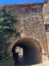 IMG_8946.jpeg