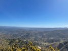 IMG_3088.jpeg