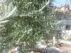 20160901_115025.jpg