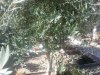 20160901_115031.jpg
