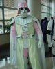 DARTH VADER ROSA 2.jpg