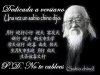 una-vez-un-sabio-ffffchino-dijo.JPG