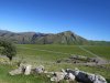 IMG_3337.jpg