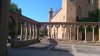 DSC_6677.jpg