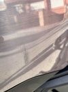 IMG_2882.jpeg
