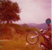 CCI01042025_editado.jpg