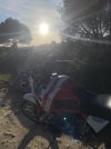IMG_6350.jpeg