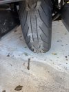 IMG_1575.jpeg