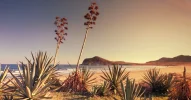t-cabo-de-gata-1536x806.png (1).webp