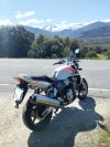 IMG_20250407_130504.jpg