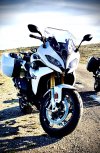 IMG_4629.jpeg