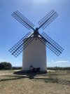 IMG_3430.jpeg