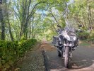 IMG20250417103658~2.jpg