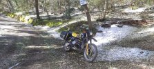 IMG_20250417_101628.jpg