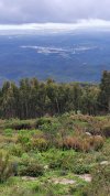 IMG-20250418-WA0013.jpg
