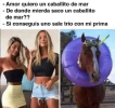 1745414488595.png