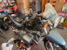 IMG_5600.jpeg