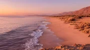 67bd8c59efc3e.jpeg.webp