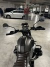 IMG_7475.jpeg