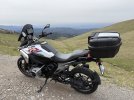 IMG_9132.jpeg