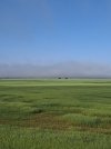 20250503_085617.jpg