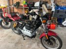 IMG_2090.jpeg