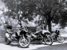 2025-05-10 016RR.JPG