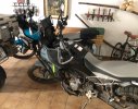 IMG_5033.jpeg