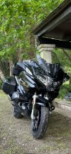 IMG_8855.jpeg