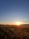 20250516_070919.jpg