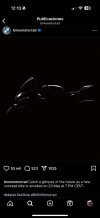IMG_9798.jpeg