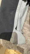 IMG_6431.jpeg