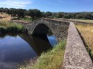 IMG_6754.jpeg