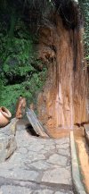 20250515_155401.jpg 20250515_155401.jpg