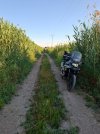 20250521_074835.jpg
