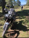 IMG_5075.jpeg