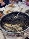 IMG_3265.jpeg