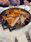 IMG_3266.jpeg