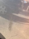 IMG_2879.jpeg