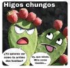 IMG_3085.jpeg