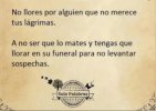 IMG_3082.jpeg