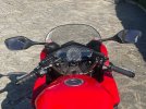 IMG_4014.jpg